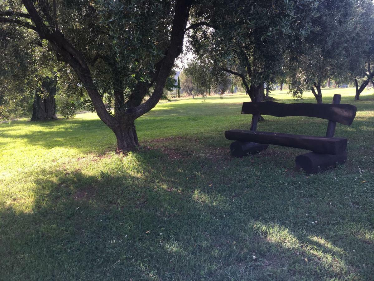 Bed and Breakfast Corbezzolo Vallo della Lucania Exterior foto